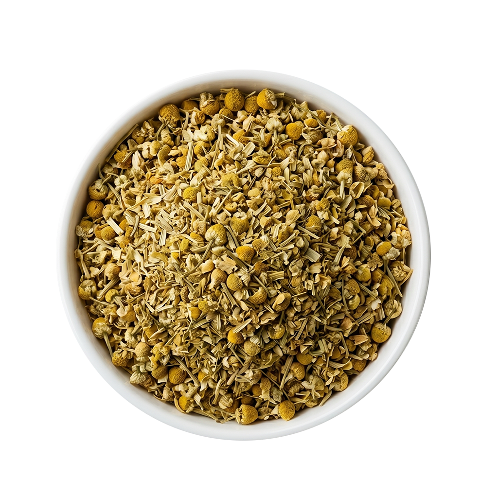 BOTÁNICA